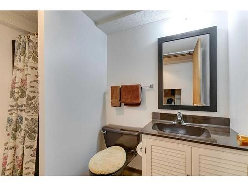 506 Silvergrove Drive Nw, Calgary, AB - Indoor Photo Showing Bathroom