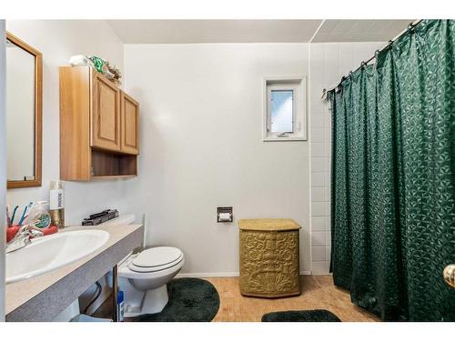 10228 Maple Brook Place Se, Calgary, AB - Indoor Photo Showing Bathroom
