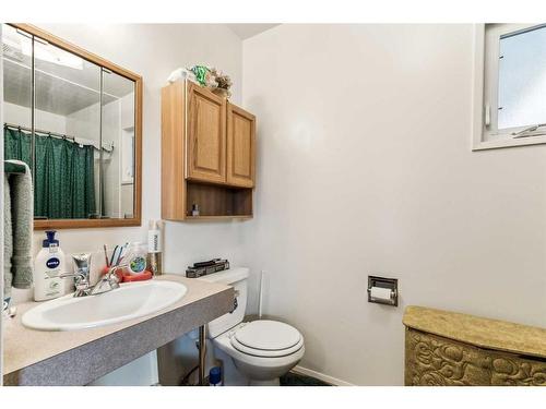 10228 Maple Brook Place Se, Calgary, AB - Indoor Photo Showing Bathroom