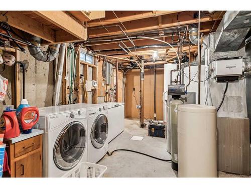 10228 Maple Brook Place Se, Calgary, AB - Indoor Photo Showing Laundry Room