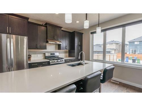 413 Redstone Grove Ne, Calgary, AB - Indoor Photo Showing Kitchen With Double Sink