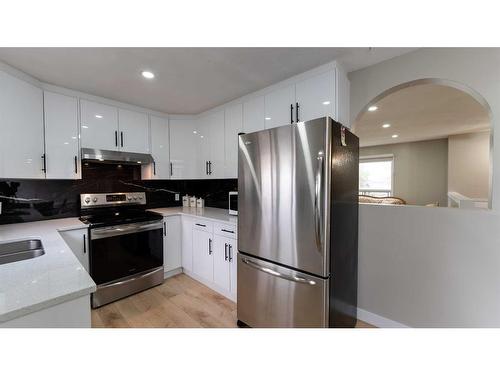 72 Falton Close Ne, Calgary, AB - Indoor Photo Showing Kitchen With Double Sink