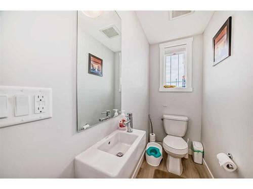 97 Copperstone Road Se, Calgary, AB - Indoor Photo Showing Bathroom