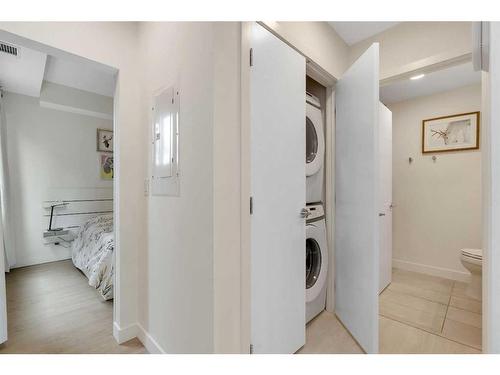 --317 9A Street Nw, Calgary, AB - Indoor Photo Showing Laundry Room