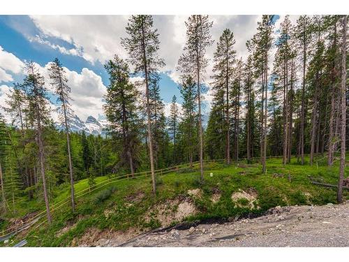 446 Mountain Tranquility Place, Canmore, AB 