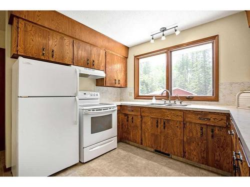 370100 272 Street West, Rural Foothills County, AB - Indoor Photo Showing Kitchen With Double Sink