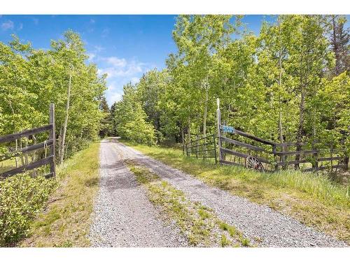 370100 272 Street West, Rural Foothills County, AB - Outdoor With View