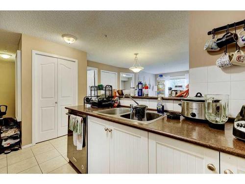 3220-60 Panatella Street Nw, Calgary, AB - Indoor Photo Showing Kitchen With Double Sink