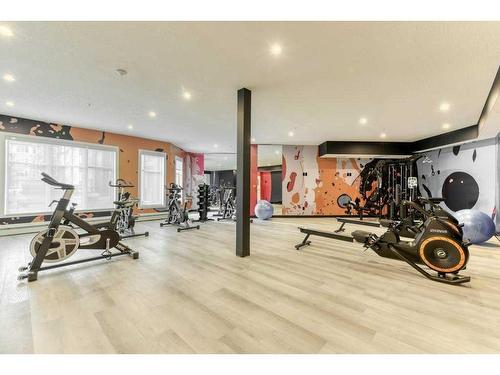 2208-681 Savanna Boulevard Ne, Calgary, AB - Indoor Photo Showing Gym Room