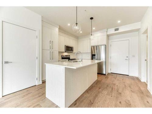 2208-681 Savanna Boulevard Ne, Calgary, AB - Indoor Photo Showing Kitchen With Upgraded Kitchen