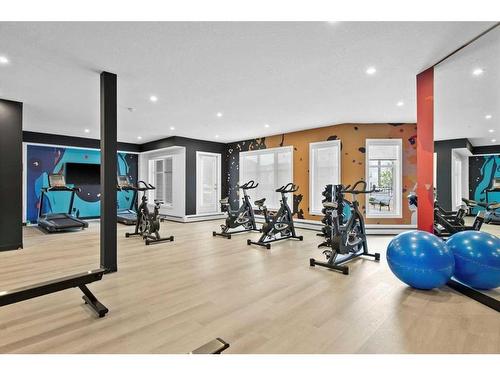 2304-681 Savanna Boulevard Ne, Calgary, AB - Indoor Photo Showing Gym Room