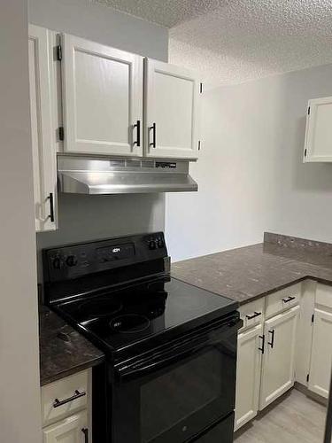 107-511 56 Avenue Sw, Calgary, AB - Indoor Photo Showing Kitchen