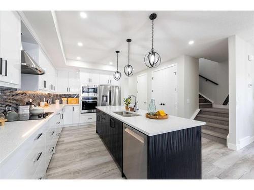 148 Saddlelake Manor Ne, Calgary, AB - Indoor Photo Showing Kitchen With Double Sink With Upgraded Kitchen