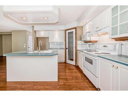 126 Douglasview Rise Se, Calgary, AB - Indoor Photo Showing Kitchen With Double Sink