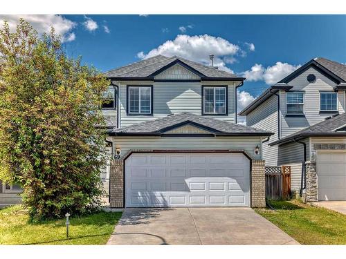 69 Saddlehorn Crescent, Calgary, AB - Outdoor