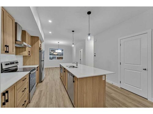 96 Legacy Glen Place Se, Calgary, AB - Indoor Photo Showing Kitchen With Double Sink With Upgraded Kitchen