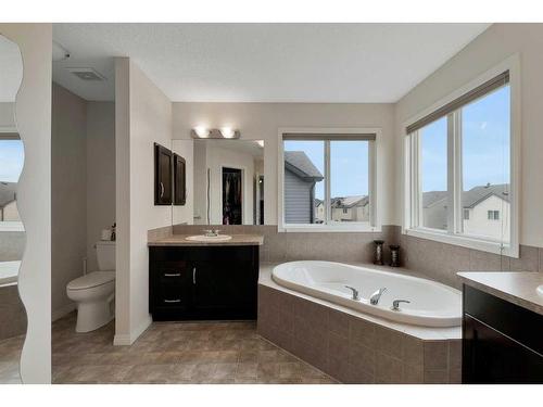 31 Copperstone Mews Se, Calgary, AB - Indoor Photo Showing Bathroom