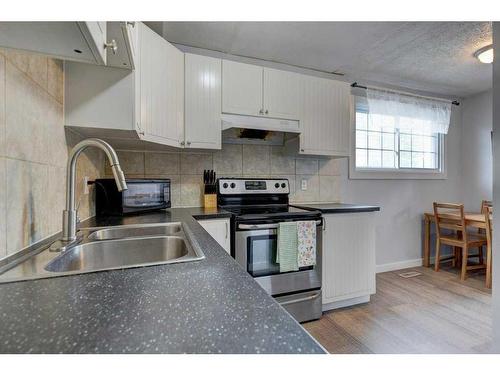 3912 30 Avenue Se, Calgary, AB - Indoor Photo Showing Kitchen With Double Sink