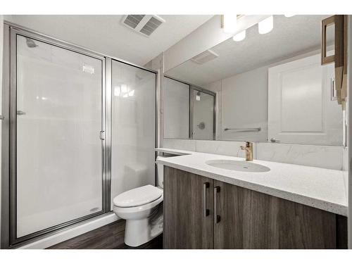 2304-6118 80 Avenue Ne, Calgary, AB - Indoor Photo Showing Bathroom