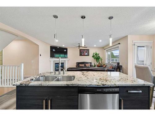 74 Martha'S Meadow Close Ne, Calgary, AB - Indoor Photo Showing Kitchen With Double Sink With Upgraded Kitchen