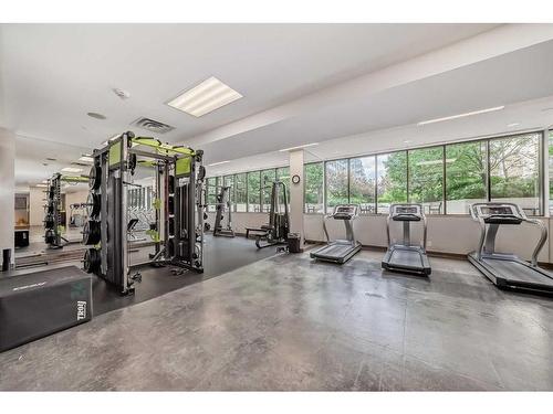412-51 Waterfront Mews Sw, Calgary, AB - Indoor Photo Showing Gym Room