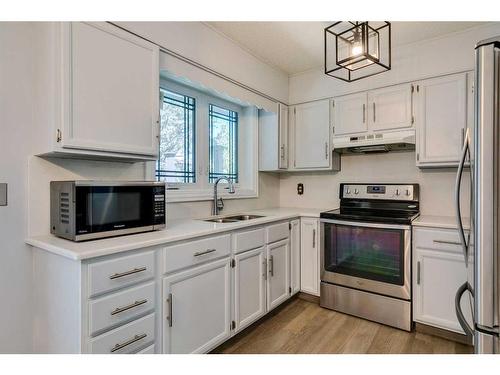 360 Templeside Circle Ne, Calgary, AB - Indoor Photo Showing Kitchen With Double Sink
