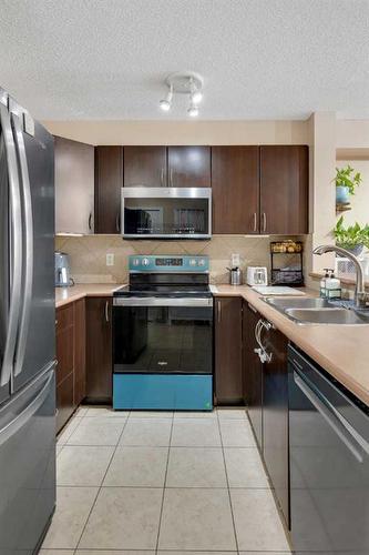2223-60 Panatella Street Nw, Calgary, AB - Indoor Photo Showing Kitchen With Double Sink With Upgraded Kitchen