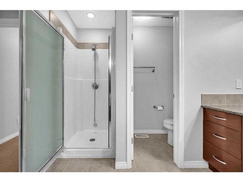 139 Skyview Shores Crescent Ne, Calgary, AB - Indoor Photo Showing Bathroom