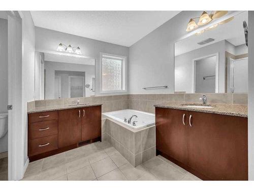 139 Skyview Shores Crescent Ne, Calgary, AB - Indoor Photo Showing Bathroom