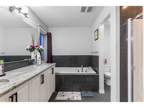 2087 Brightoncrest Common Se, Calgary, AB - Indoor Photo Showing Bathroom