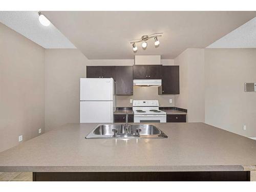 2305-73 Erin Woods Court Se, Calgary, AB - Indoor Photo Showing Kitchen With Double Sink