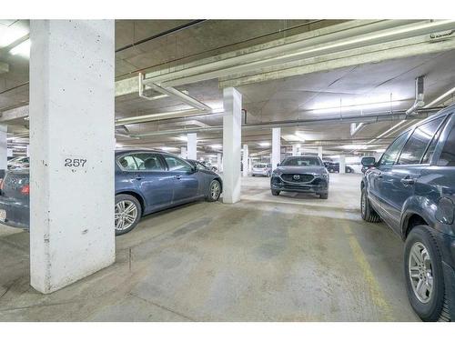 111-3111 34 Avenue Nw, Calgary, AB - Indoor Photo Showing Garage