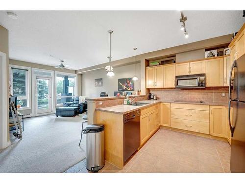 111-3111 34 Avenue Nw, Calgary, AB - Indoor Photo Showing Kitchen With Double Sink