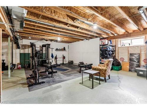 145 Skyview Ranch Crescent Ne, Calgary, AB - Indoor Photo Showing Basement