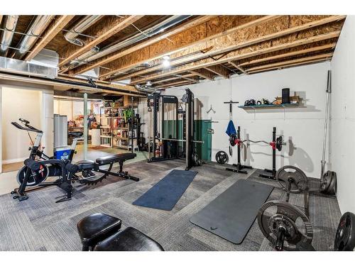 145 Skyview Ranch Crescent Ne, Calgary, AB - Indoor Photo Showing Basement