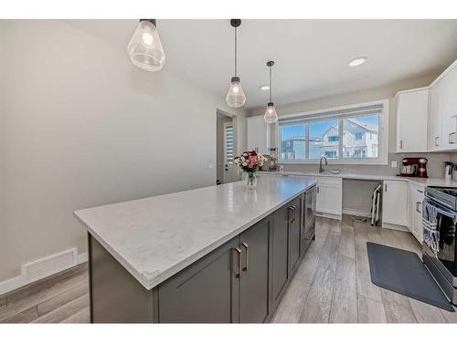 163 Belvedere Green Se, Calgary, AB - Indoor Photo Showing Kitchen With Upgraded Kitchen