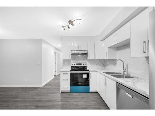 102-1728 34 Street Se, Calgary, AB - Indoor Photo Showing Kitchen With Double Sink