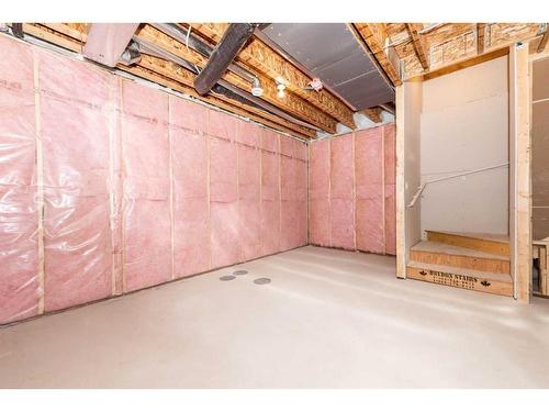 811 Carrington Boulevard Nw, Calgary, AB - Indoor Photo Showing Basement