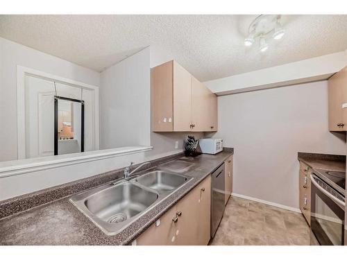 3204-16320 24 Street Sw, Calgary, AB - Indoor Photo Showing Kitchen With Double Sink