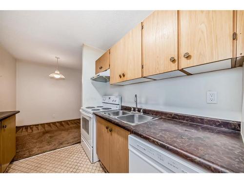 206-611 8 Avenue Ne, Calgary, AB - Indoor Photo Showing Kitchen With Double Sink