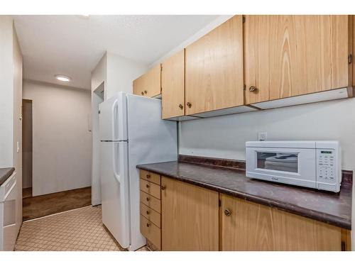 206-611 8 Avenue Ne, Calgary, AB - Indoor Photo Showing Kitchen