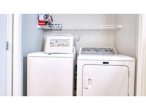 226 Copperfield Boulevard Se, Calgary, AB - Indoor Photo Showing Laundry Room