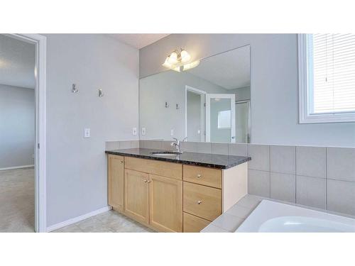 226 Copperfield Boulevard Se, Calgary, AB - Indoor Photo Showing Bathroom