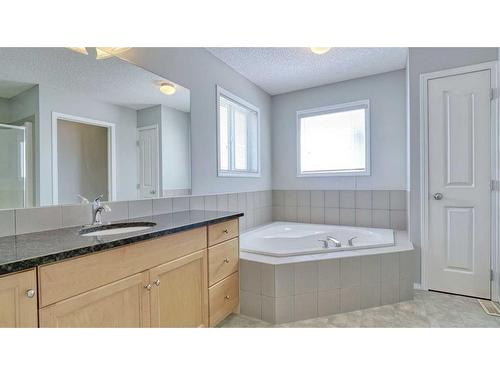 226 Copperfield Boulevard Se, Calgary, AB - Indoor Photo Showing Bathroom