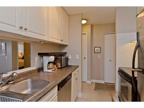 419-525 56 Avenue Sw, Calgary, AB - Indoor Photo Showing Kitchen