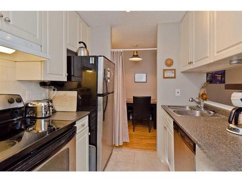419-525 56 Avenue Sw, Calgary, AB - Indoor Photo Showing Kitchen With Stainless Steel Kitchen With Double Sink