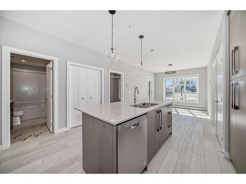 2107-681 Savanna Boulevard Ne, Calgary, AB - Indoor Photo Showing Kitchen With Double Sink