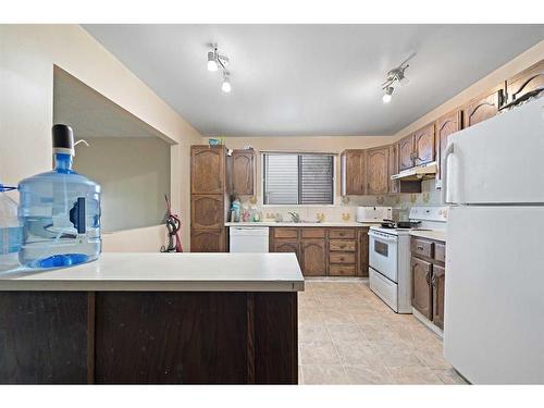 233 18 Avenue Ne, Calgary, AB - Indoor Photo Showing Kitchen With Double Sink