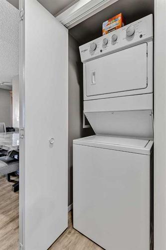 1310-4641 128 Avenue Ne, Calgary, AB - Indoor Photo Showing Laundry Room