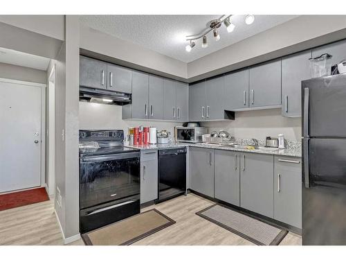 1310-4641 128 Avenue Ne, Calgary, AB - Indoor Photo Showing Kitchen